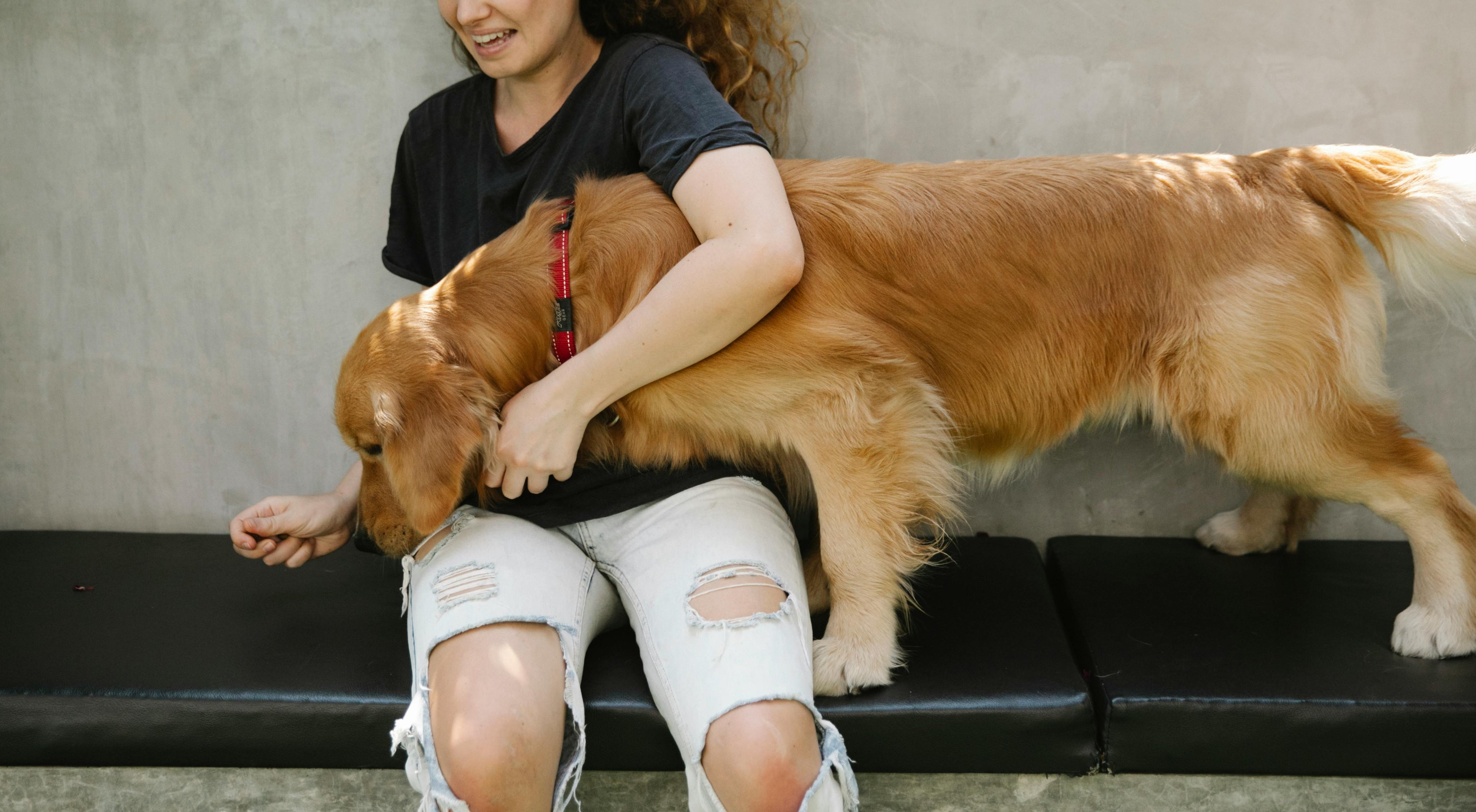 How to Treat Dog Separation Anxiety: 7 Methods That Actually Work
