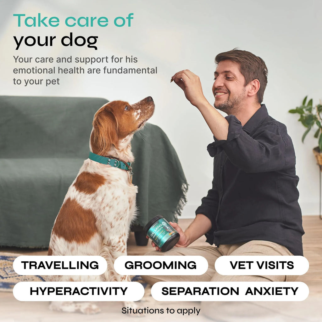 Hemp Calming Chews for Dogs — Daily Anxiety & Stress Support Treats