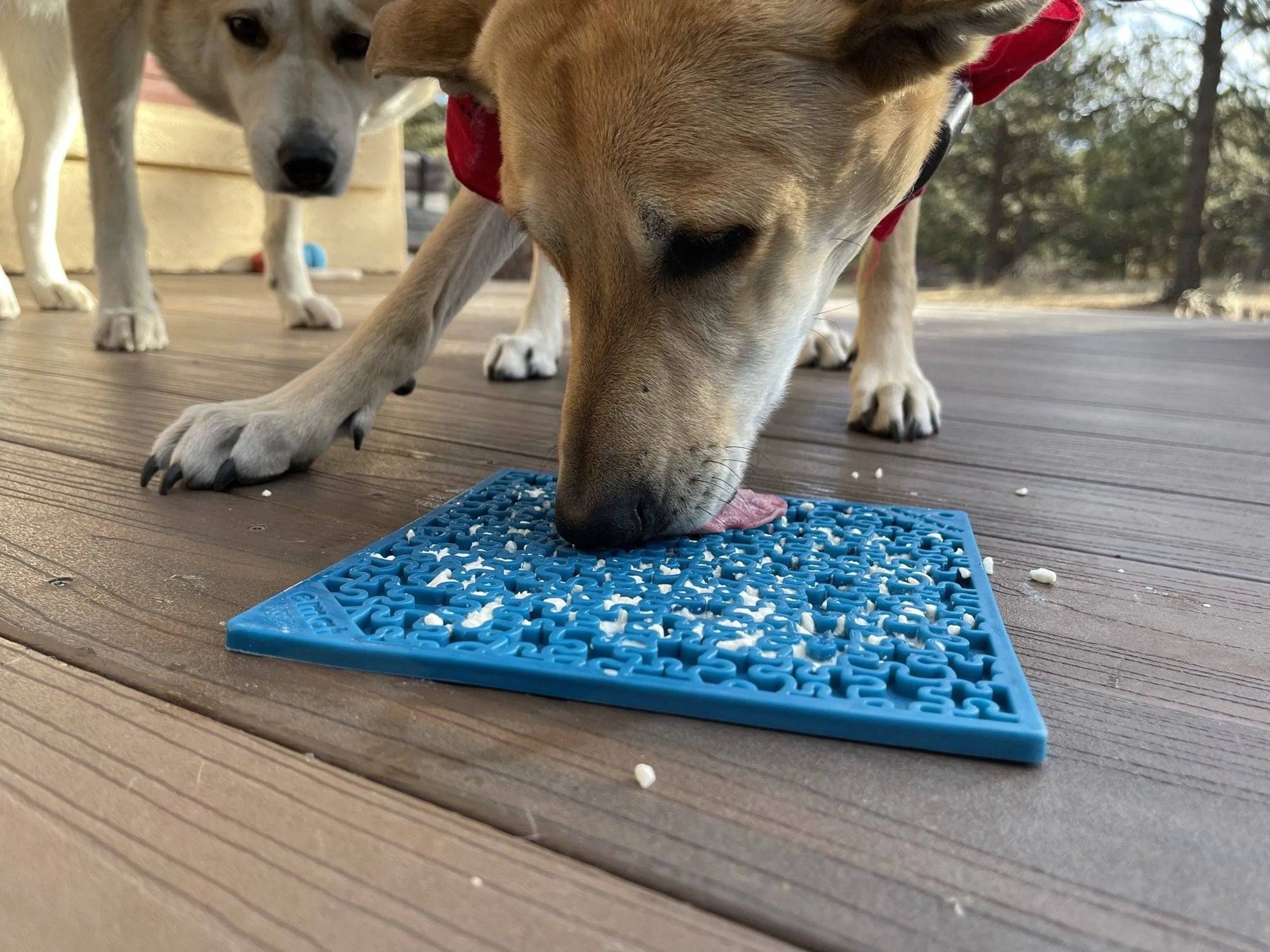 Jigsaw Enrichment Lick Mat for Dogs - Calming Slow Feeder Activity Mat