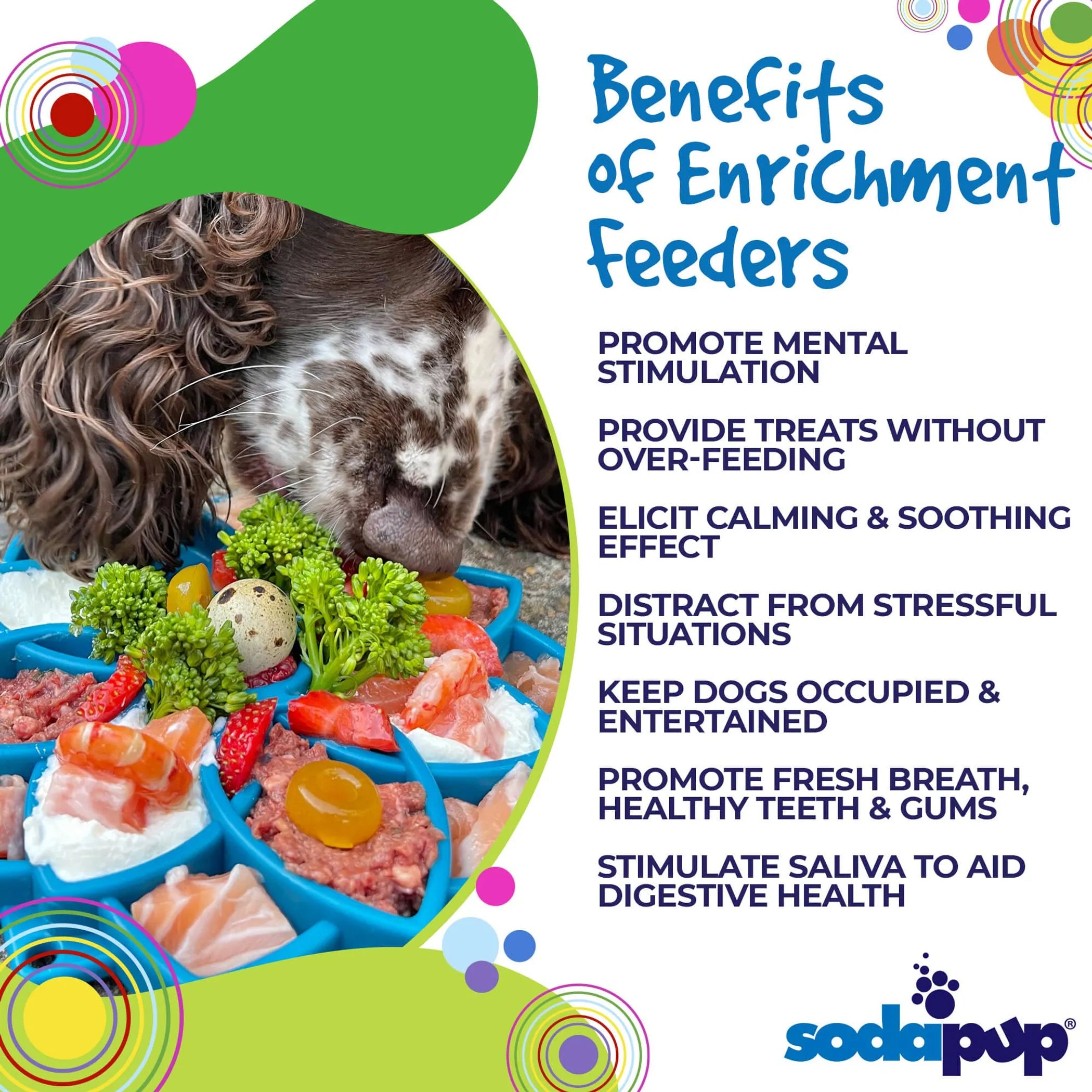 Mandala Enrichment Lick Mat & Slow Feeder Tray for Dogs - Calming Mealtime Activity