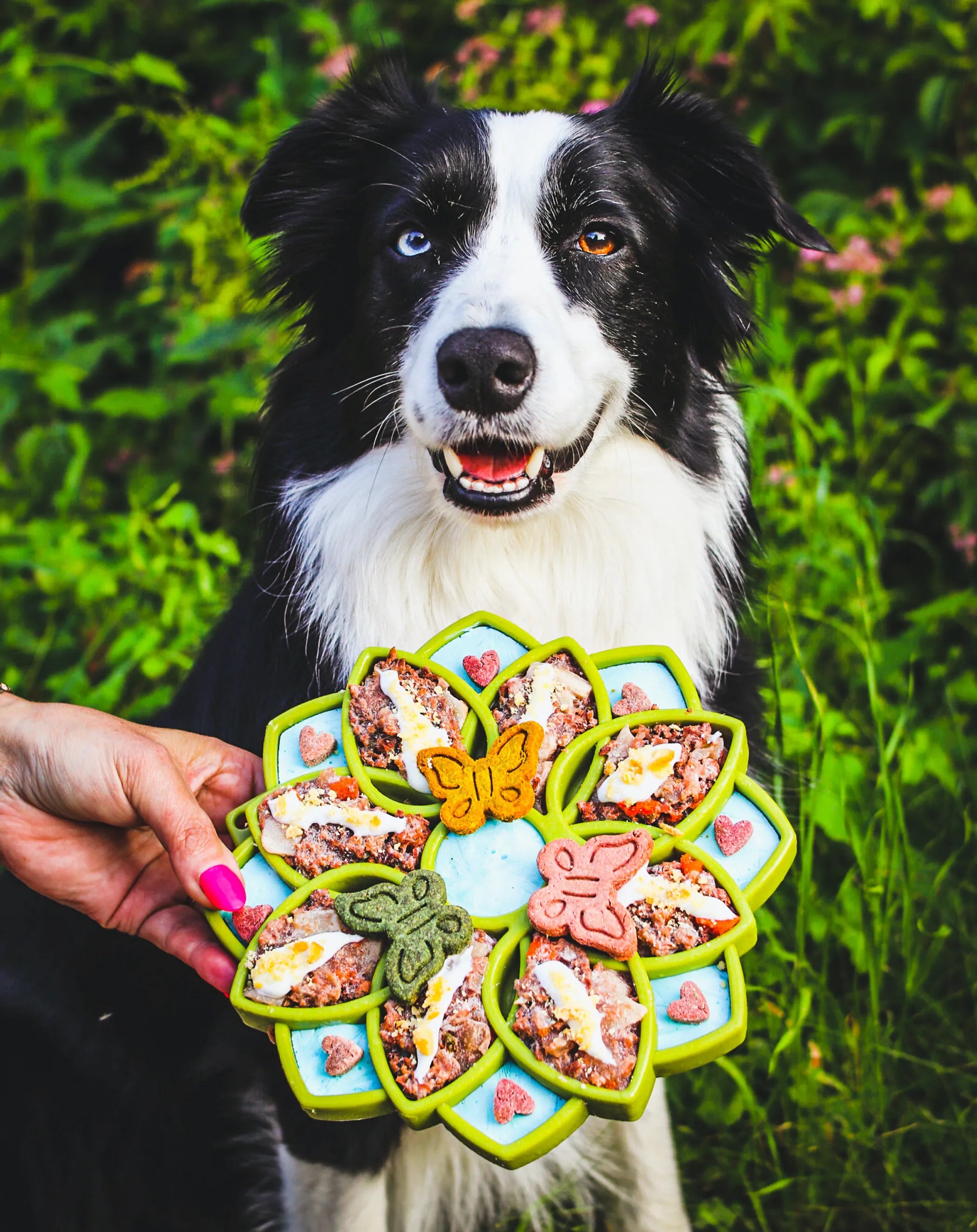 Mandala Enrichment Lick Mat & Slow Feeder Tray for Dogs - Calming Mealtime Activity