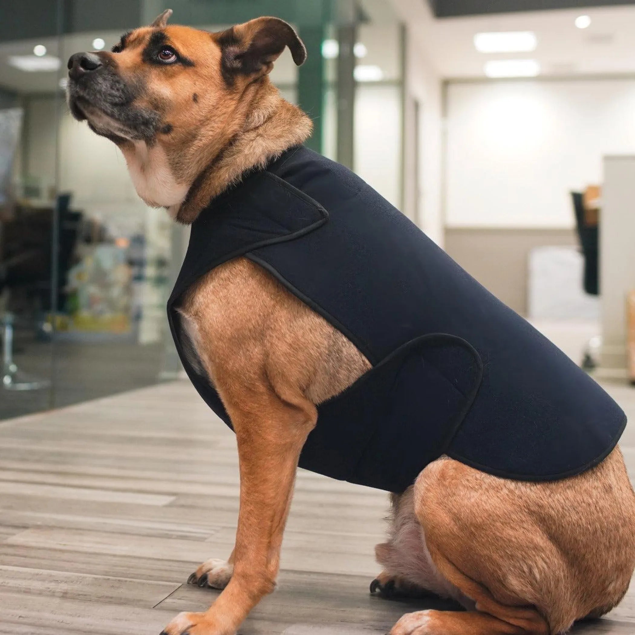 Healers Therapeutic Anxiety Wrap for Dogs — Gentle Pressure Calming Vest